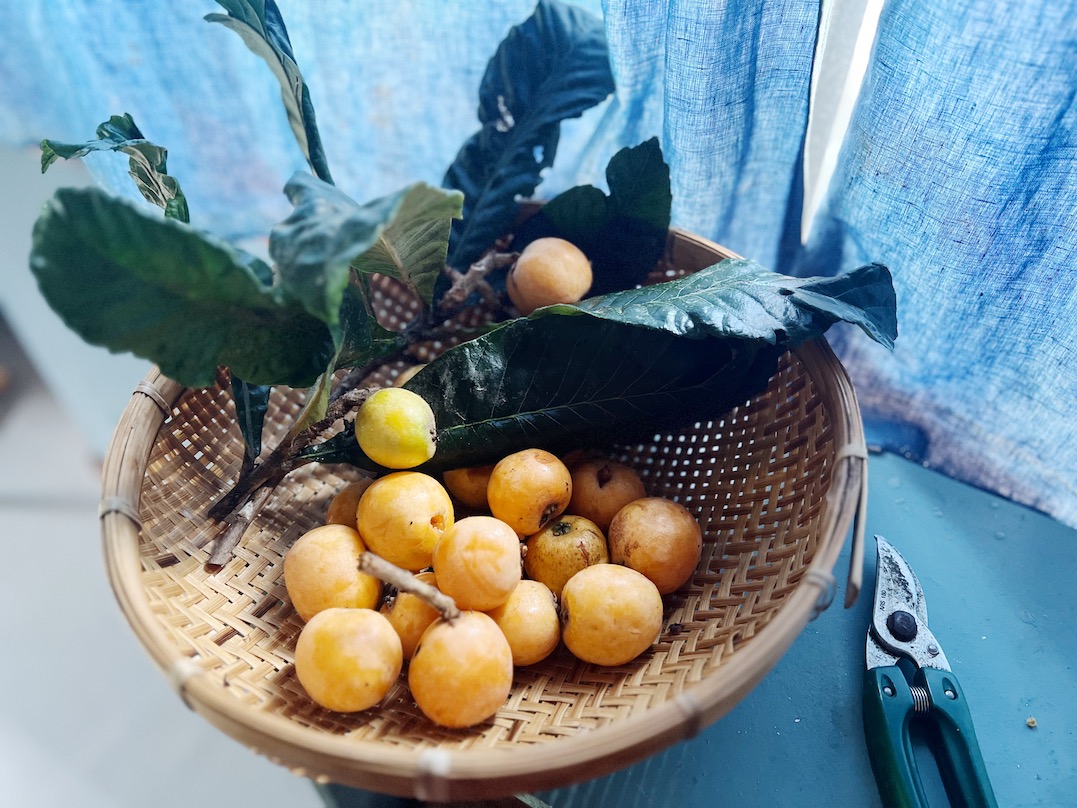 F0A2AC05-655D-40FB-A037-0AB45644DFA7